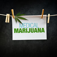 State Medical Marijuana Laws