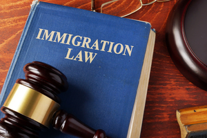 US Current Immigration Laws
