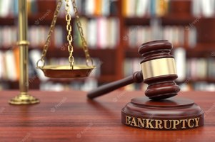 Bankruptcy Law: A Guide for Individuals and Businesses