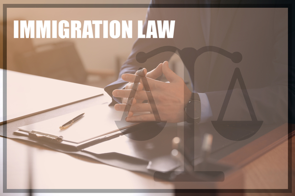 U.S. Past and Present Immigration Law